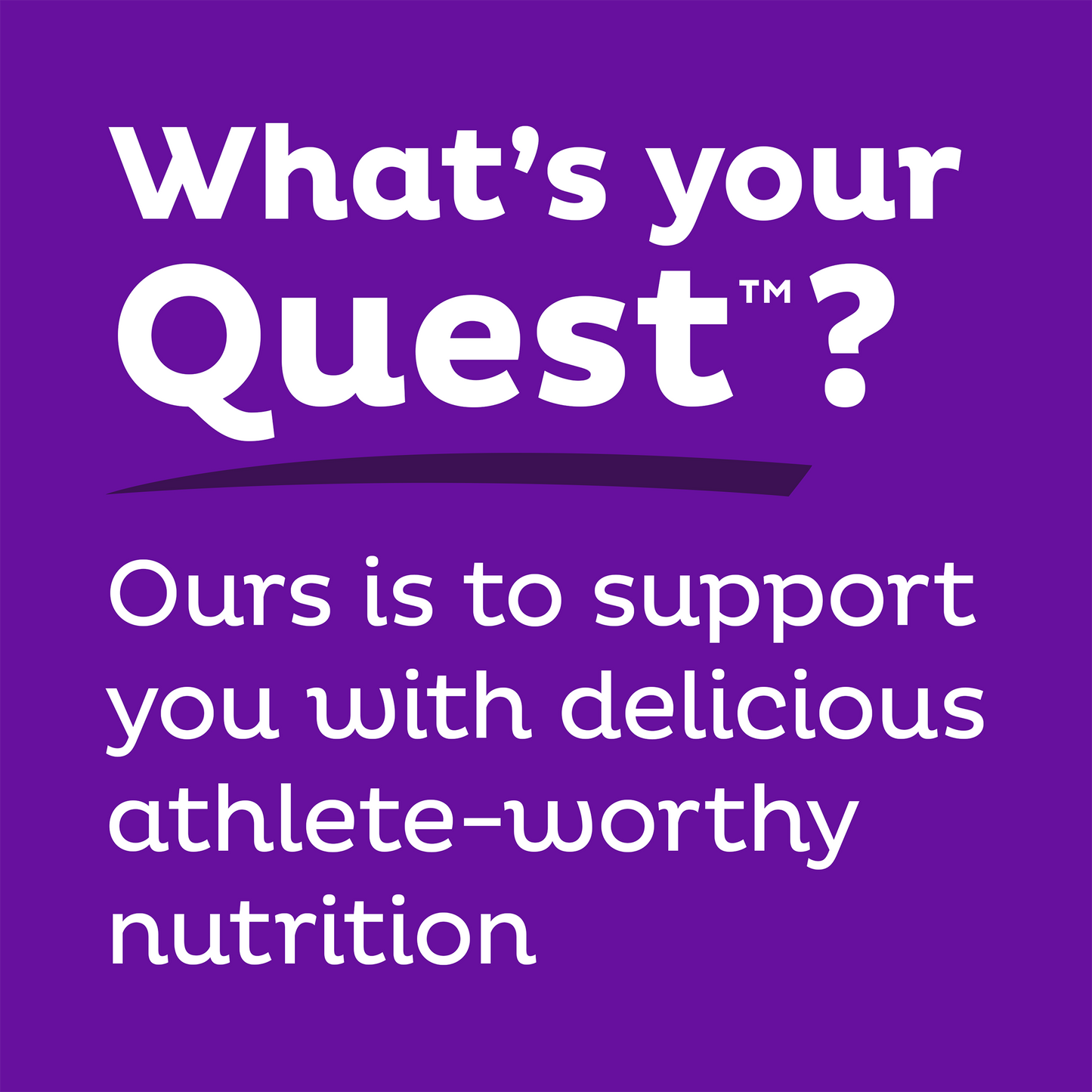 double-chocolate-chunk-protein-bars-e6 qst-000241_double-chocolate-chunk-protein-bars_9.png